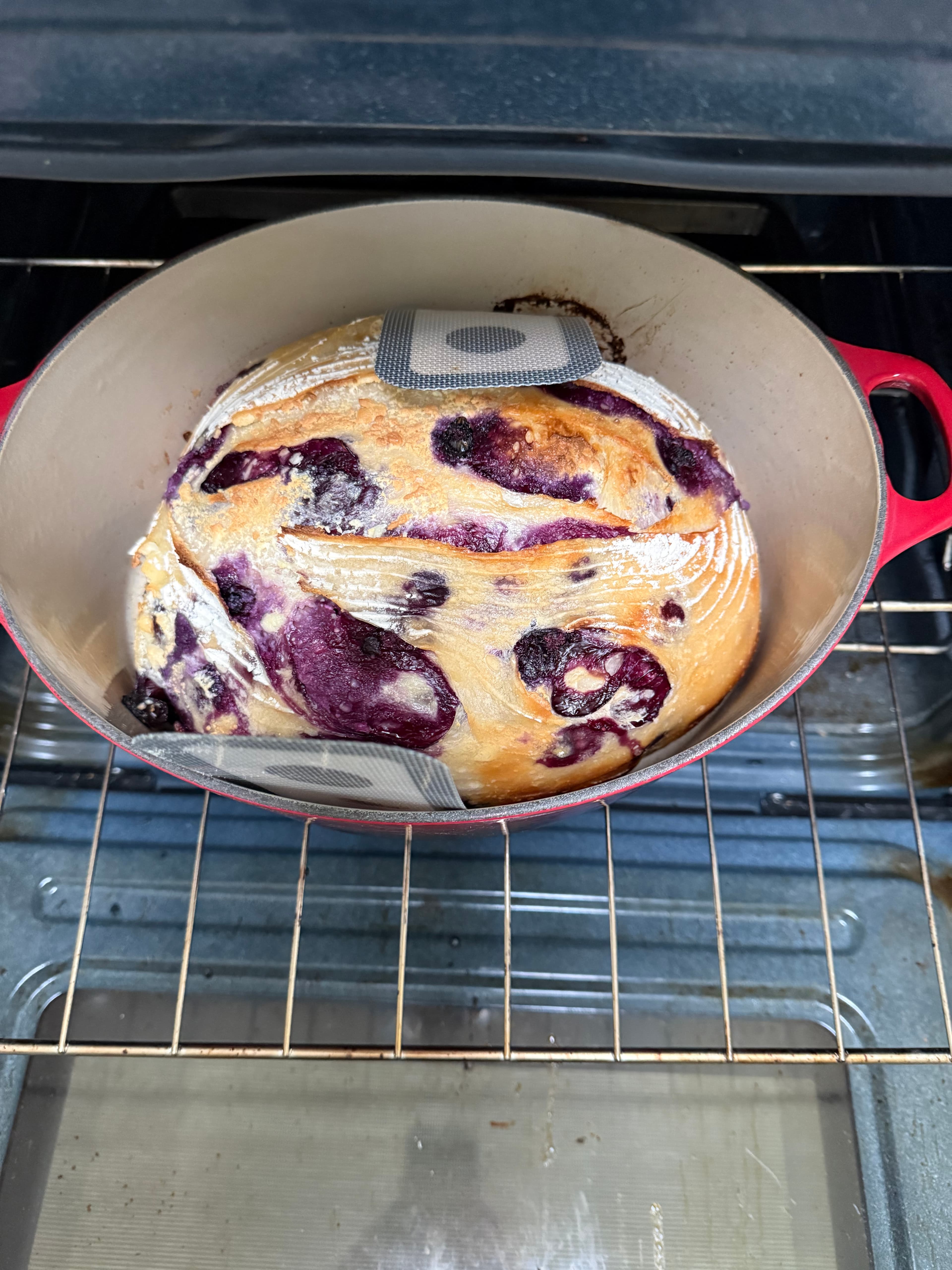 Blueberry and cream