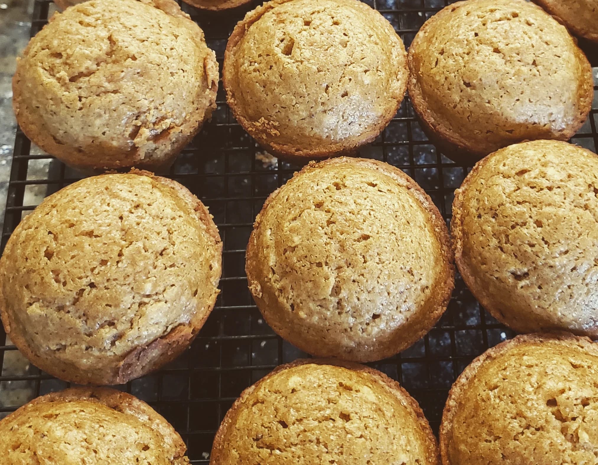 Pumpkin Muffins