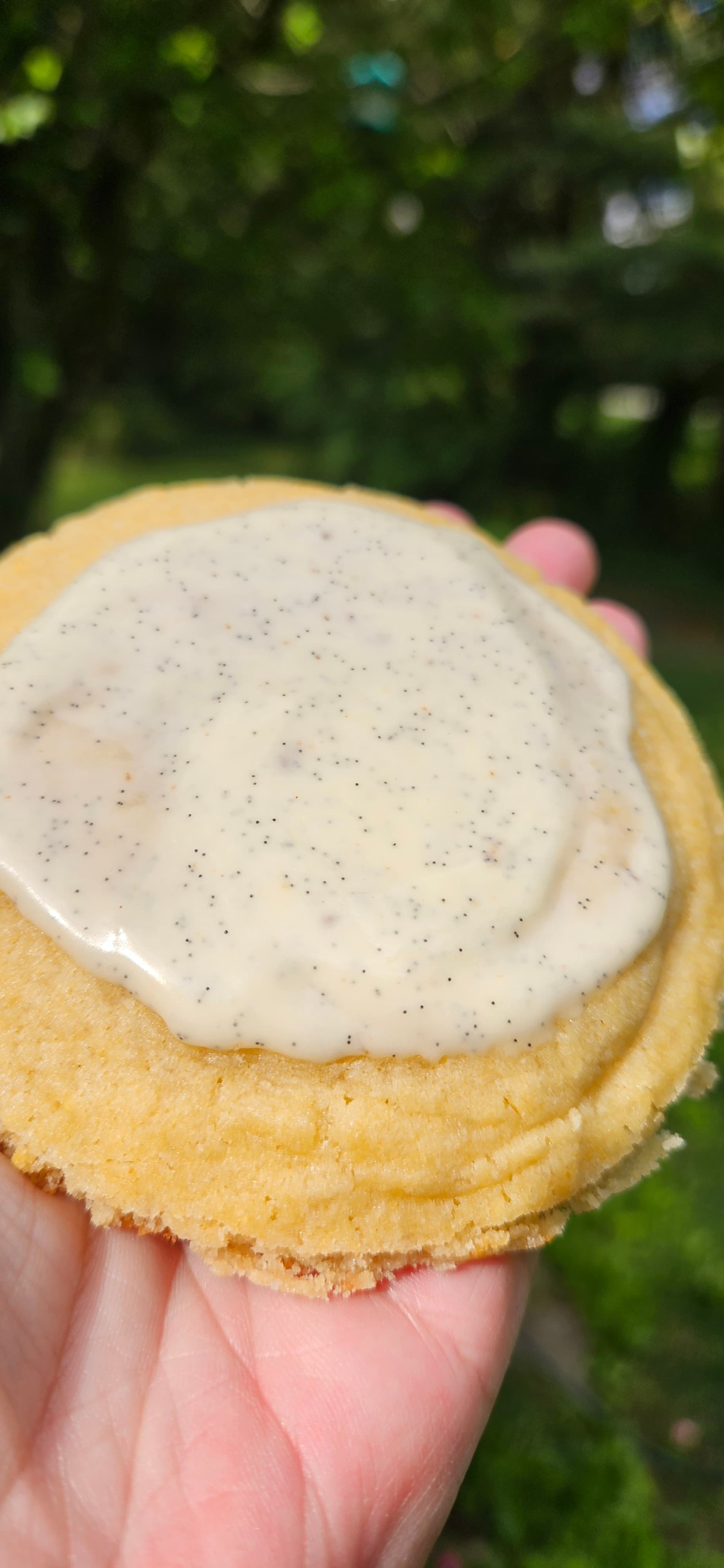 Vanilla Cloud