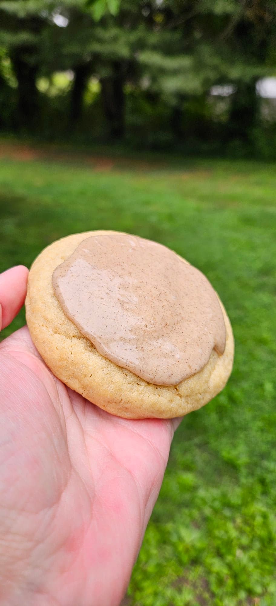 Brown Sugar Cinna Bliss Cookie