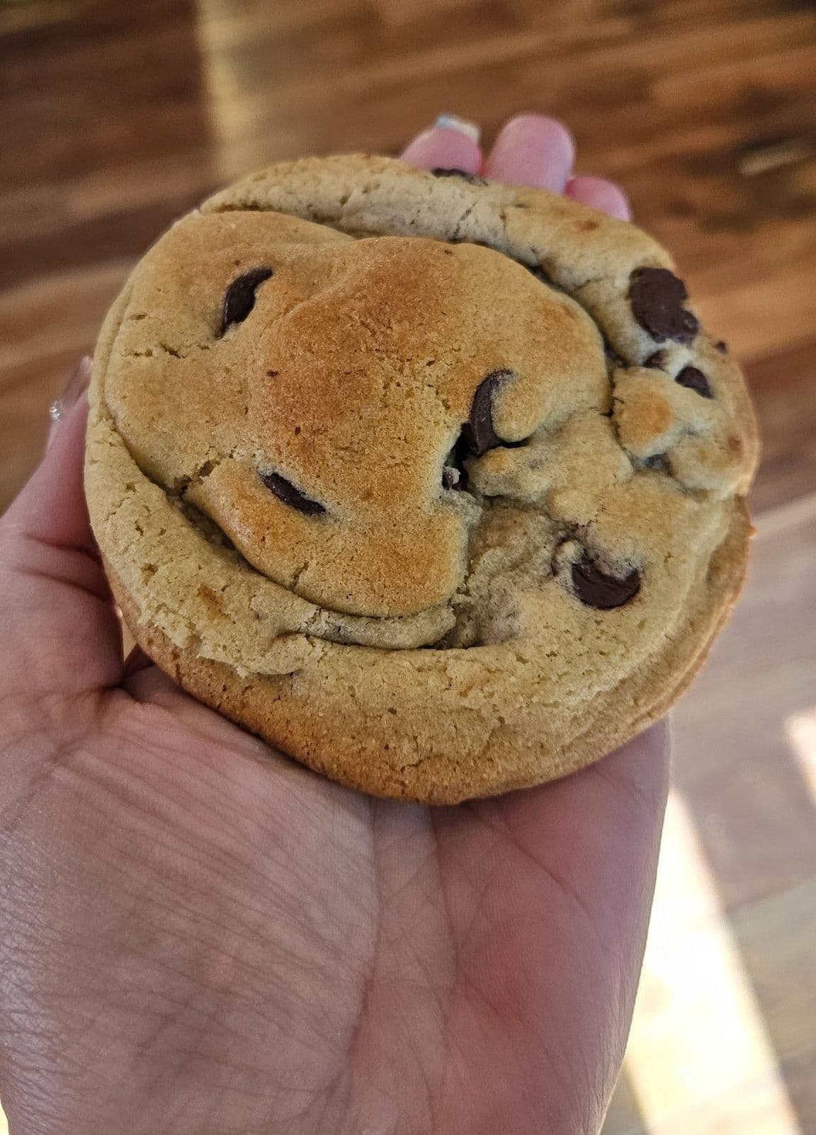 The OG (the BEST Chocolate Chip Cookie ever)